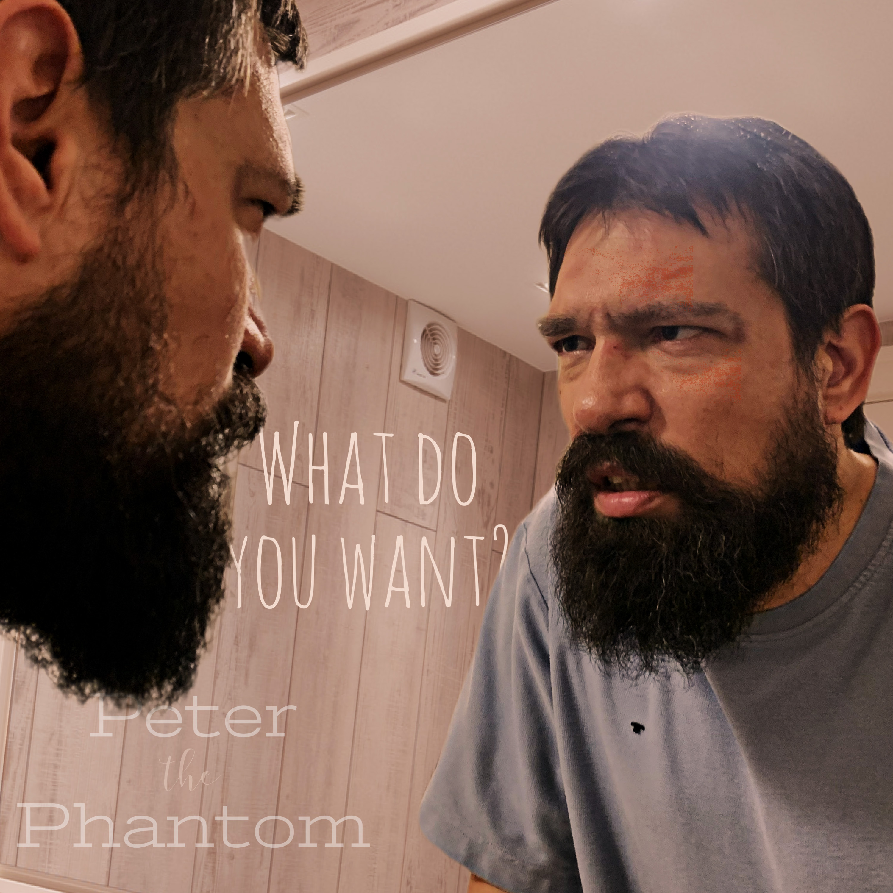 Cover art for What Do You Want?