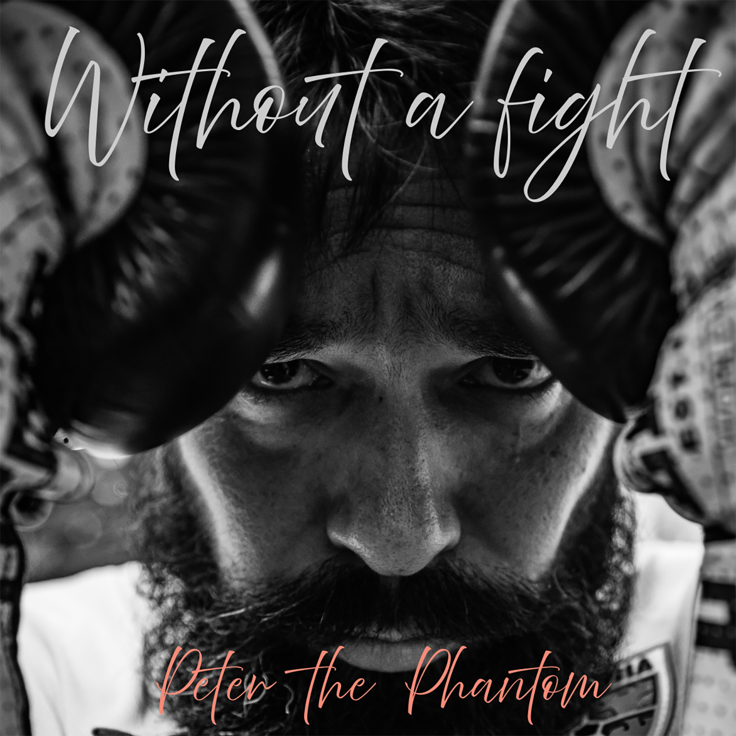 Cover art for Without a Fight